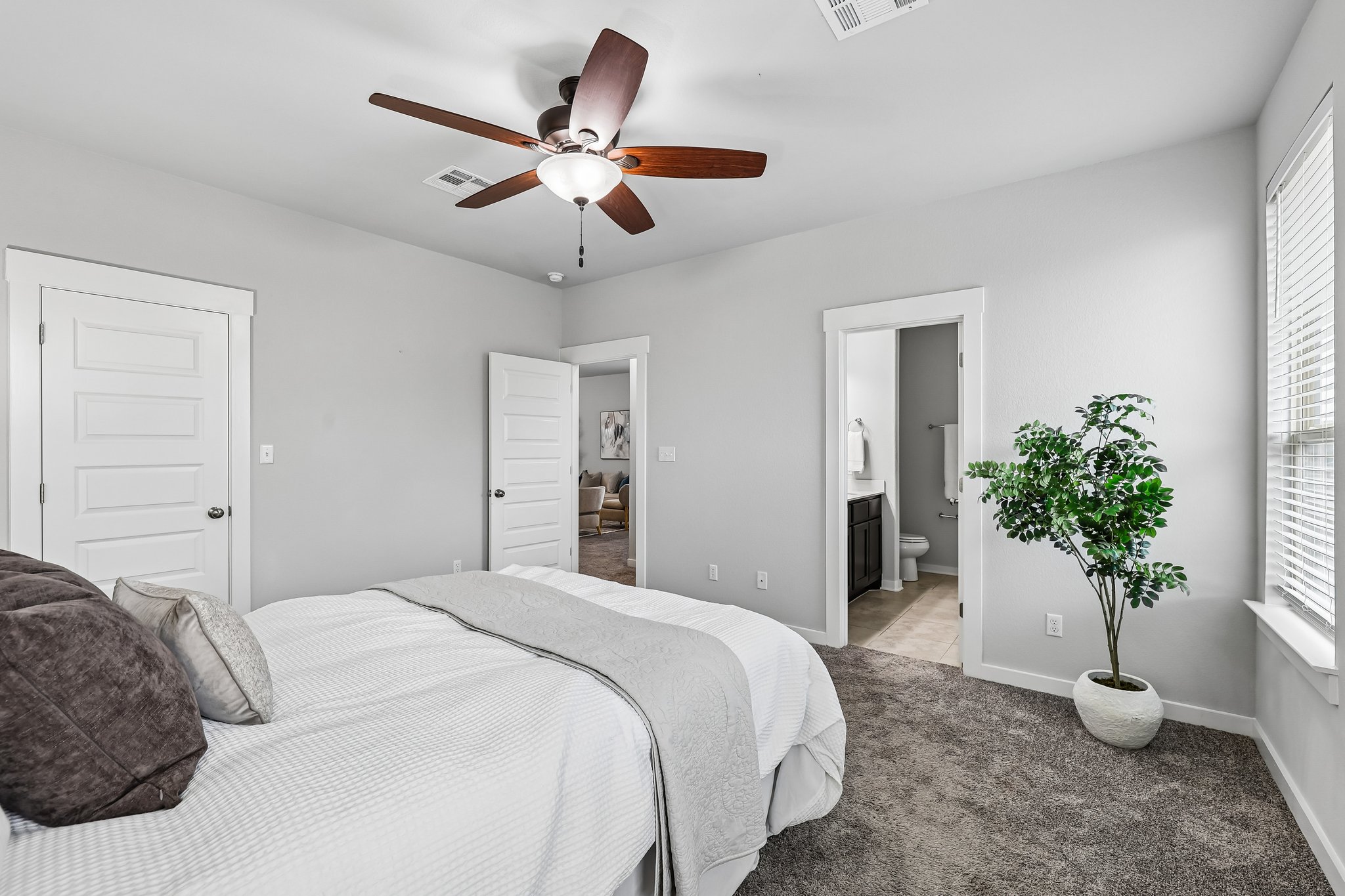 Syrah Ct-S2304-021.jpg