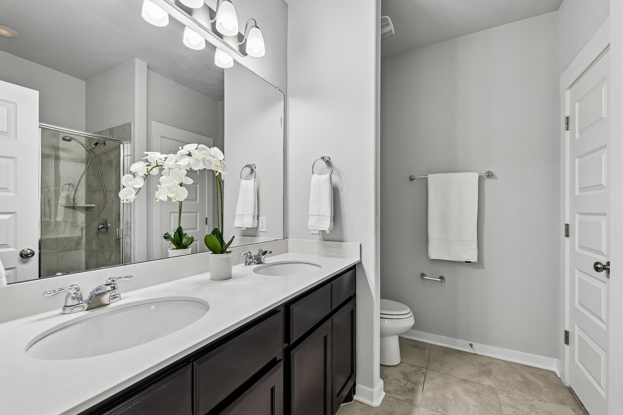 Syrah Ct-S2304-022.jpg