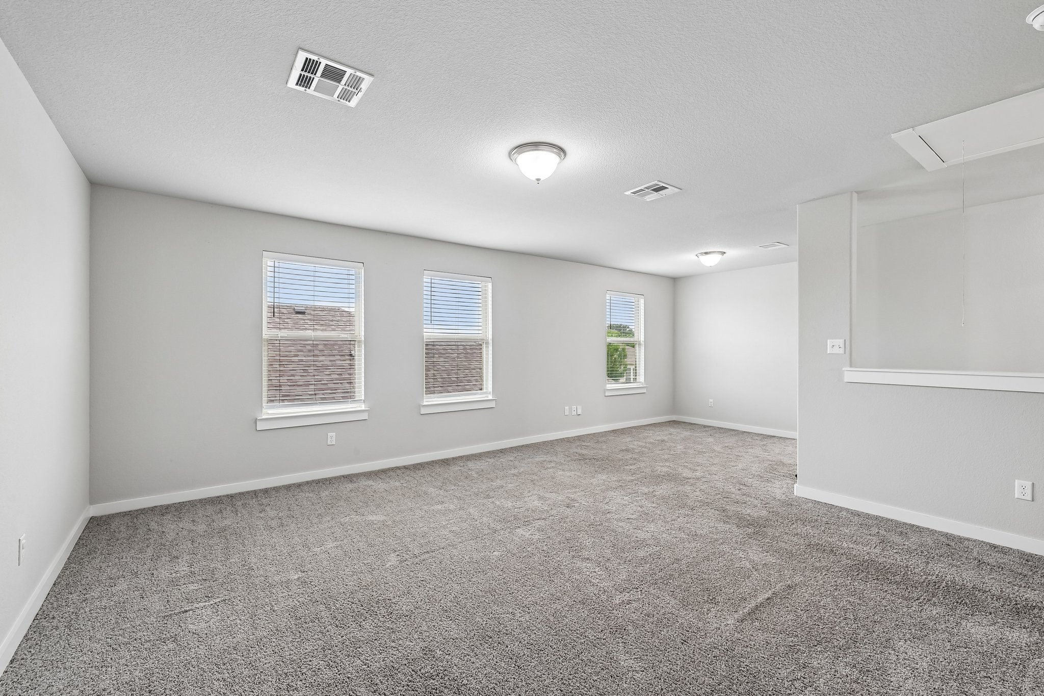 Syrah Ct-S2304-026.jpg