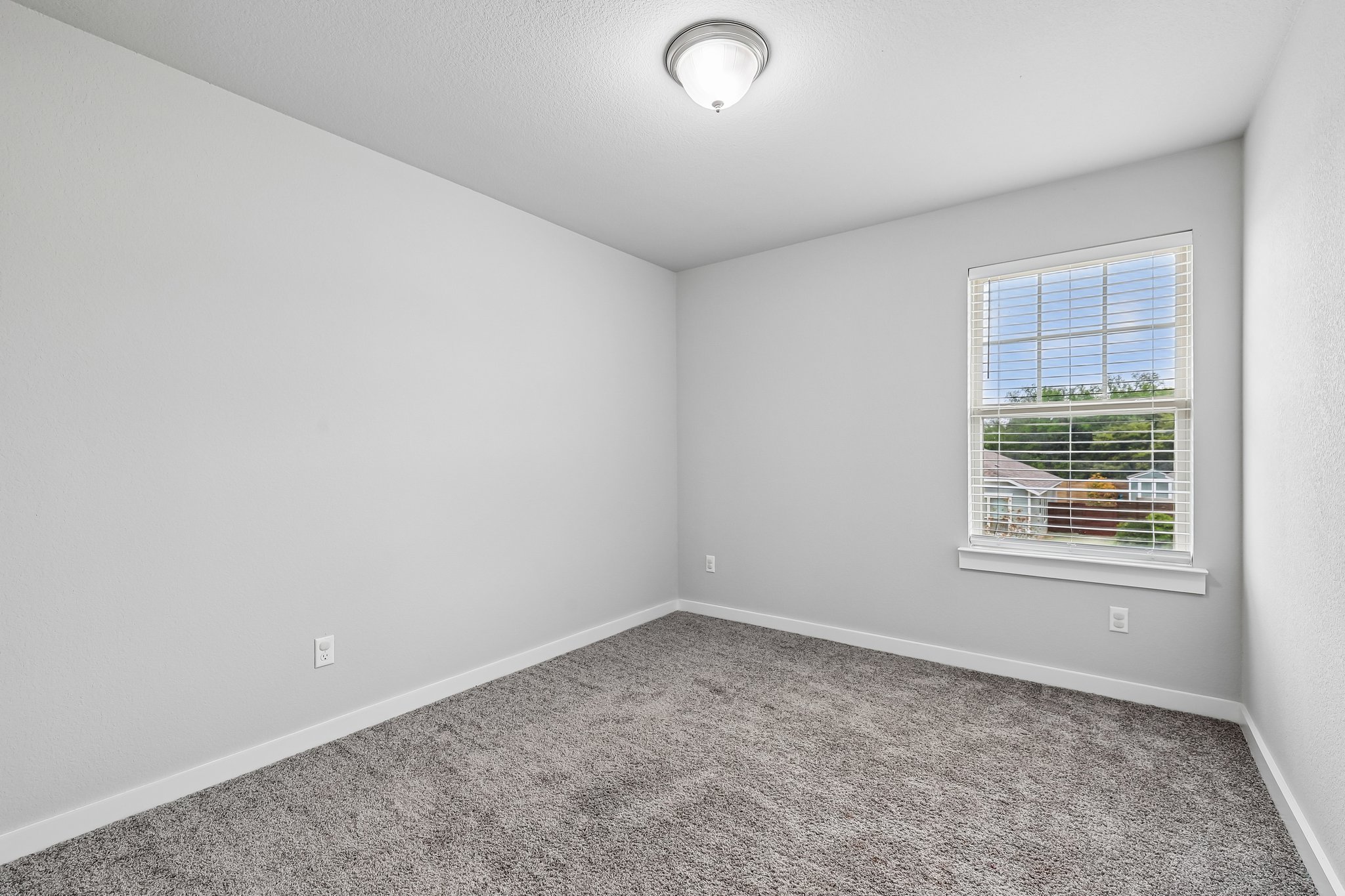 Syrah Ct-S2304-032.jpg