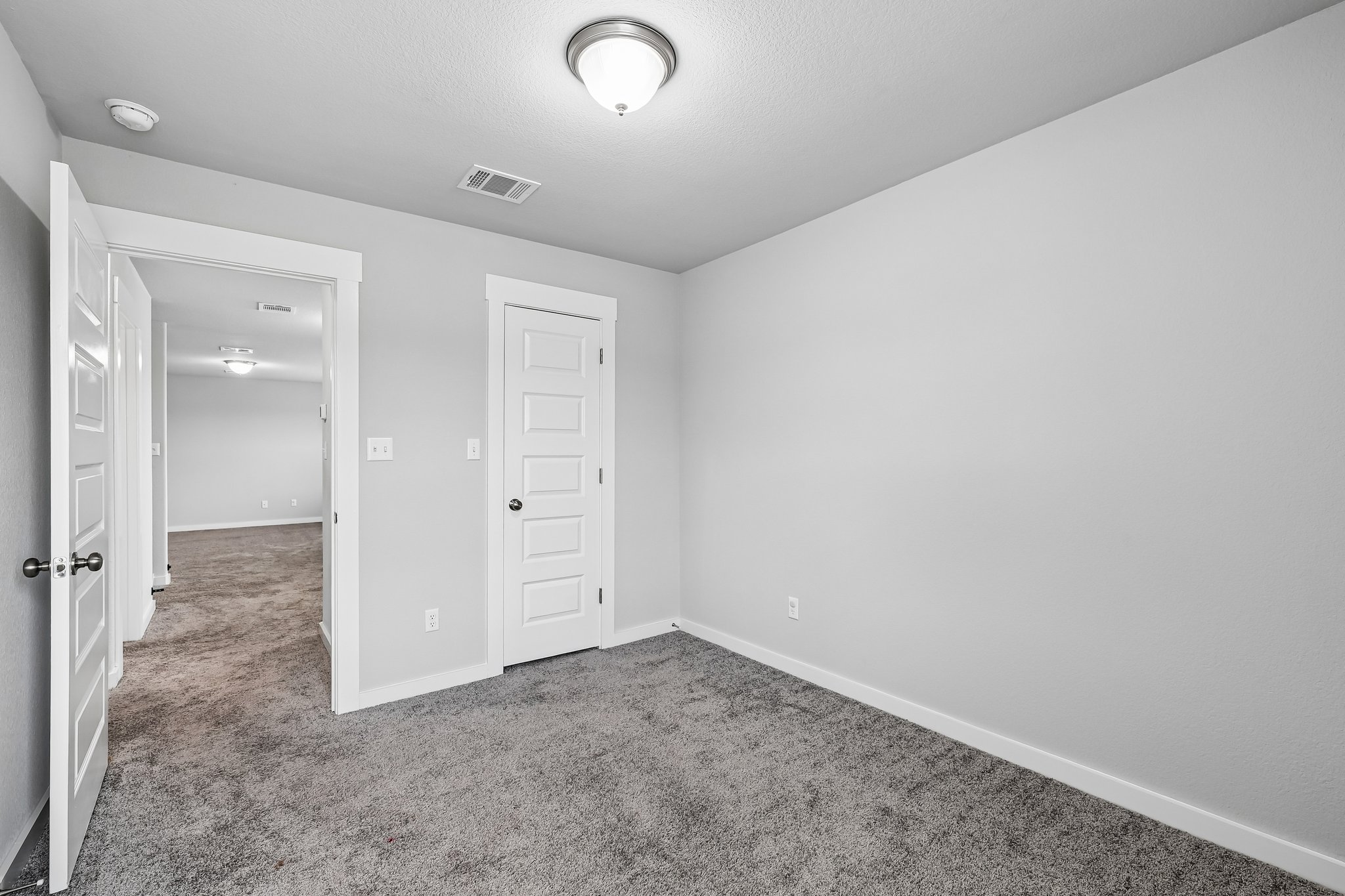 Syrah Ct-S2304-033.jpg