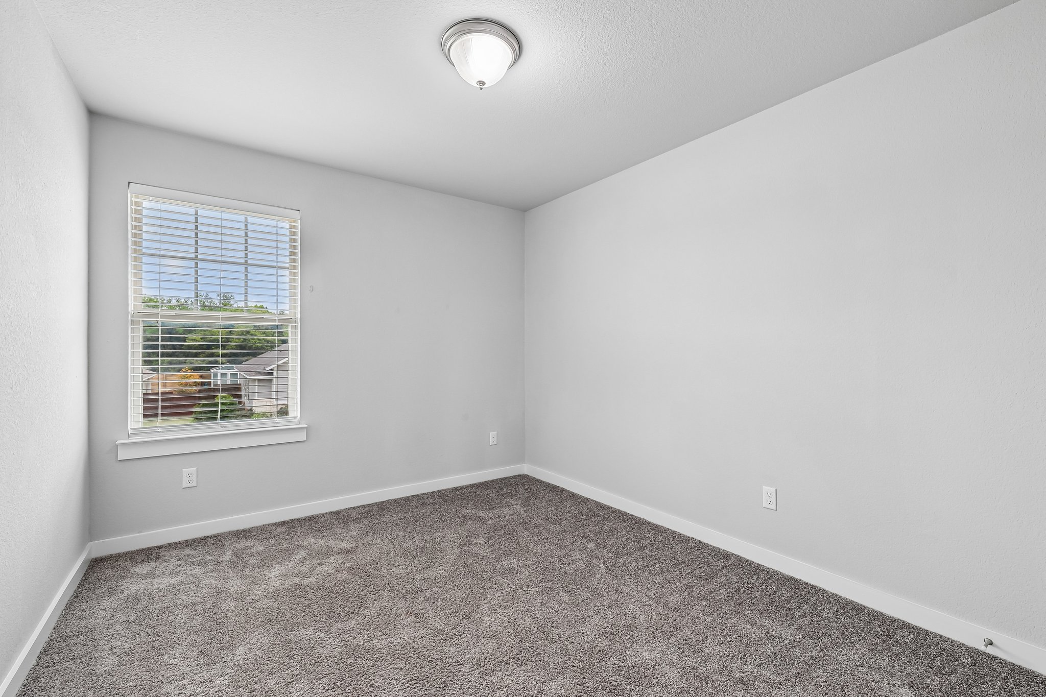 Syrah Ct-S2304-034.jpg