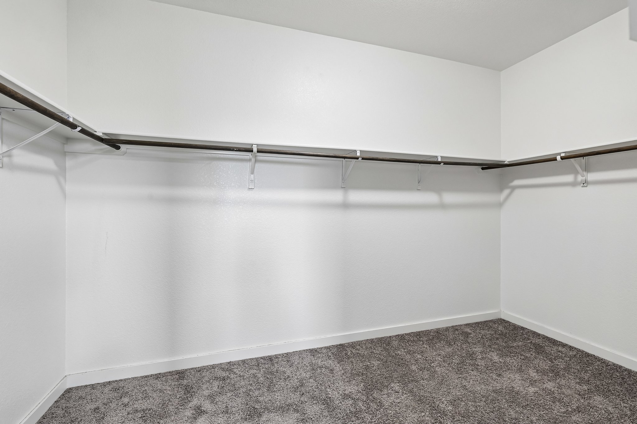 Syrah Ct-S2304-036.jpg