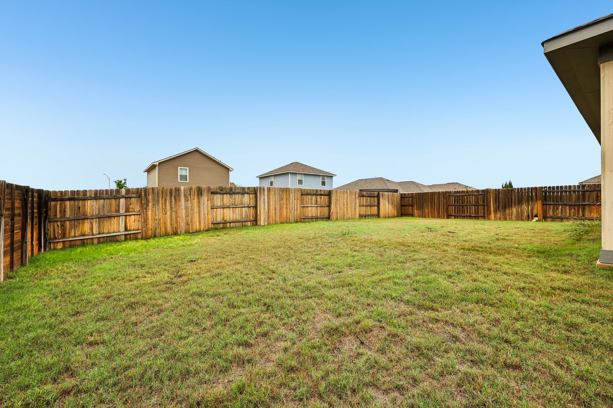 Syrah Ct-S2304-037.jpg