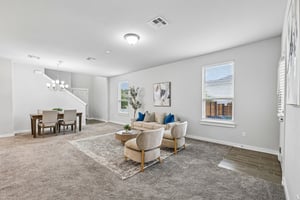 Syrah Ct-S2304-006.jpg