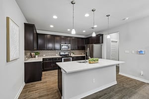 Syrah Ct-S2304-011.jpg