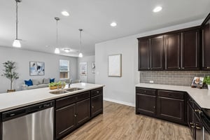 Syrah Ct-S2304-014.jpg