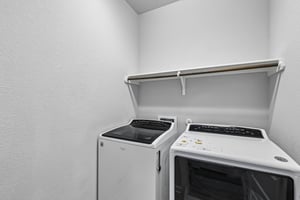 Syrah Ct-S2304-016.jpg