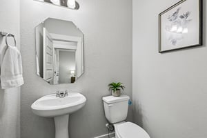 Syrah Ct-S2304-017.jpg