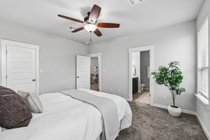 Syrah Ct-S2304-021.jpg