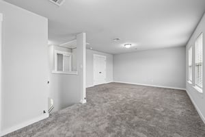 Syrah Ct-S2304-027.jpg