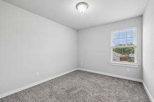 Syrah Ct-S2304-032.jpg