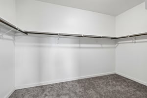 Syrah Ct-S2304-036.jpg