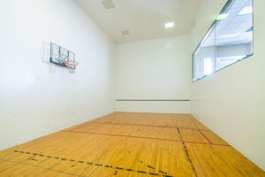 12-Dans Island Basketball and Raquetball Court