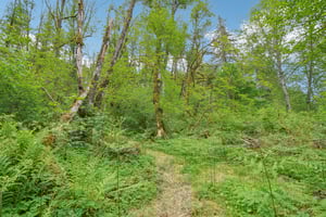 NE Grantham Rd-1605-078.jpg