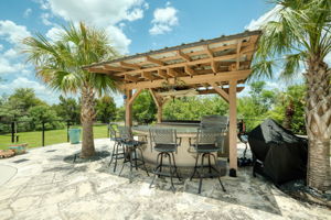 Bar/Grilling Area