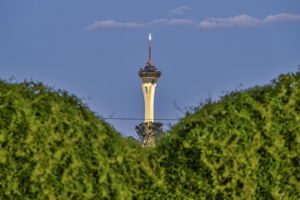  Photo 44