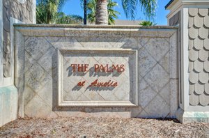 The Palms of Amelia