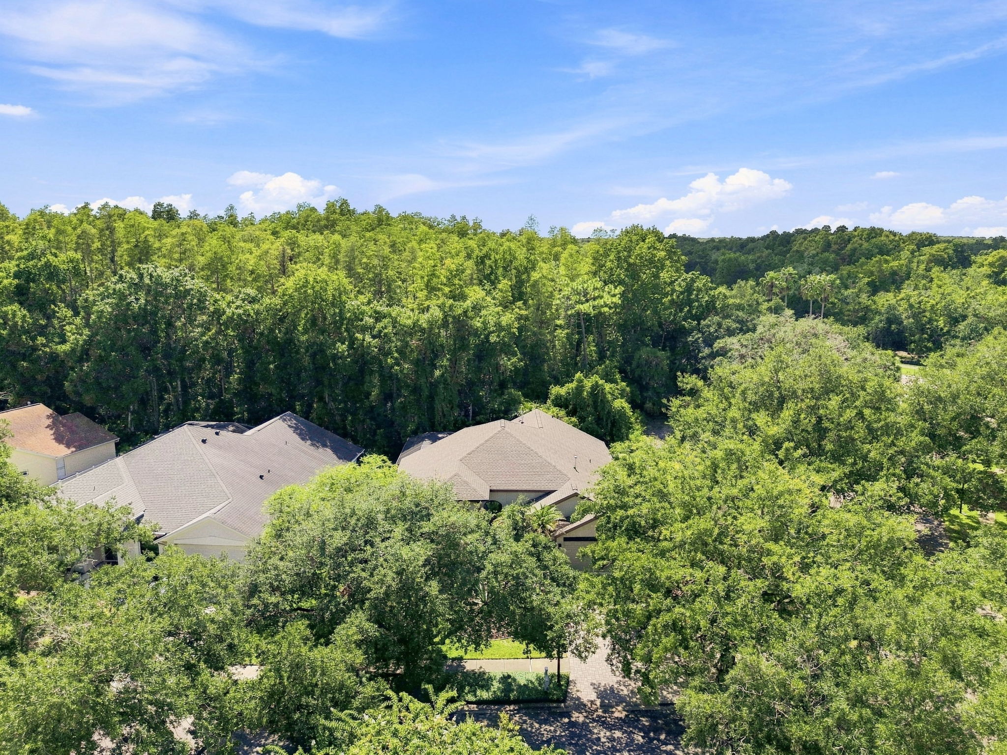 DJI_0389