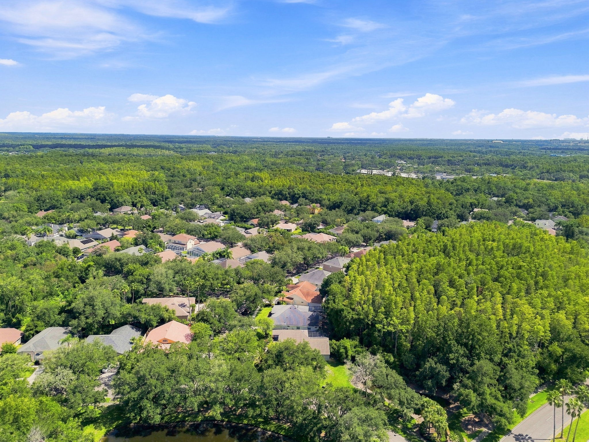 DJI_0428