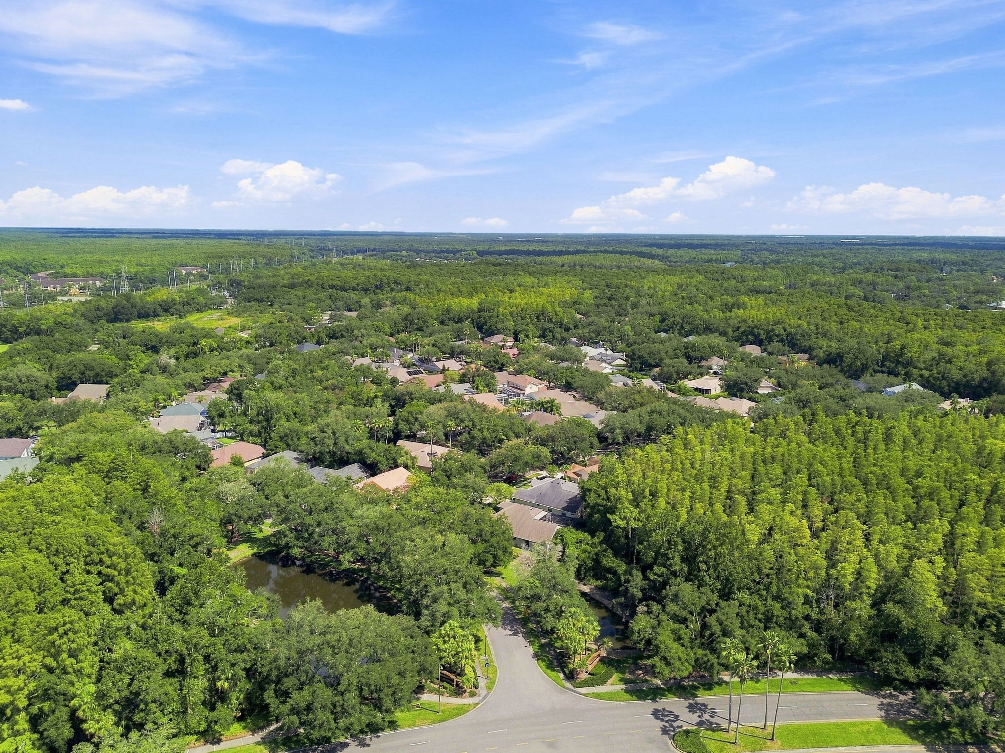 DJI_0431