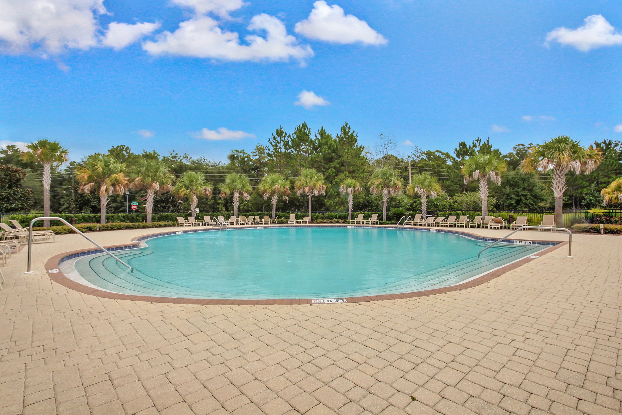 Surround yourself with the serenity of water and palm trees.