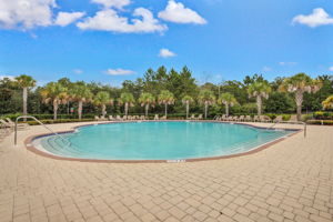 Surround yourself with the serenity of water and palm trees.