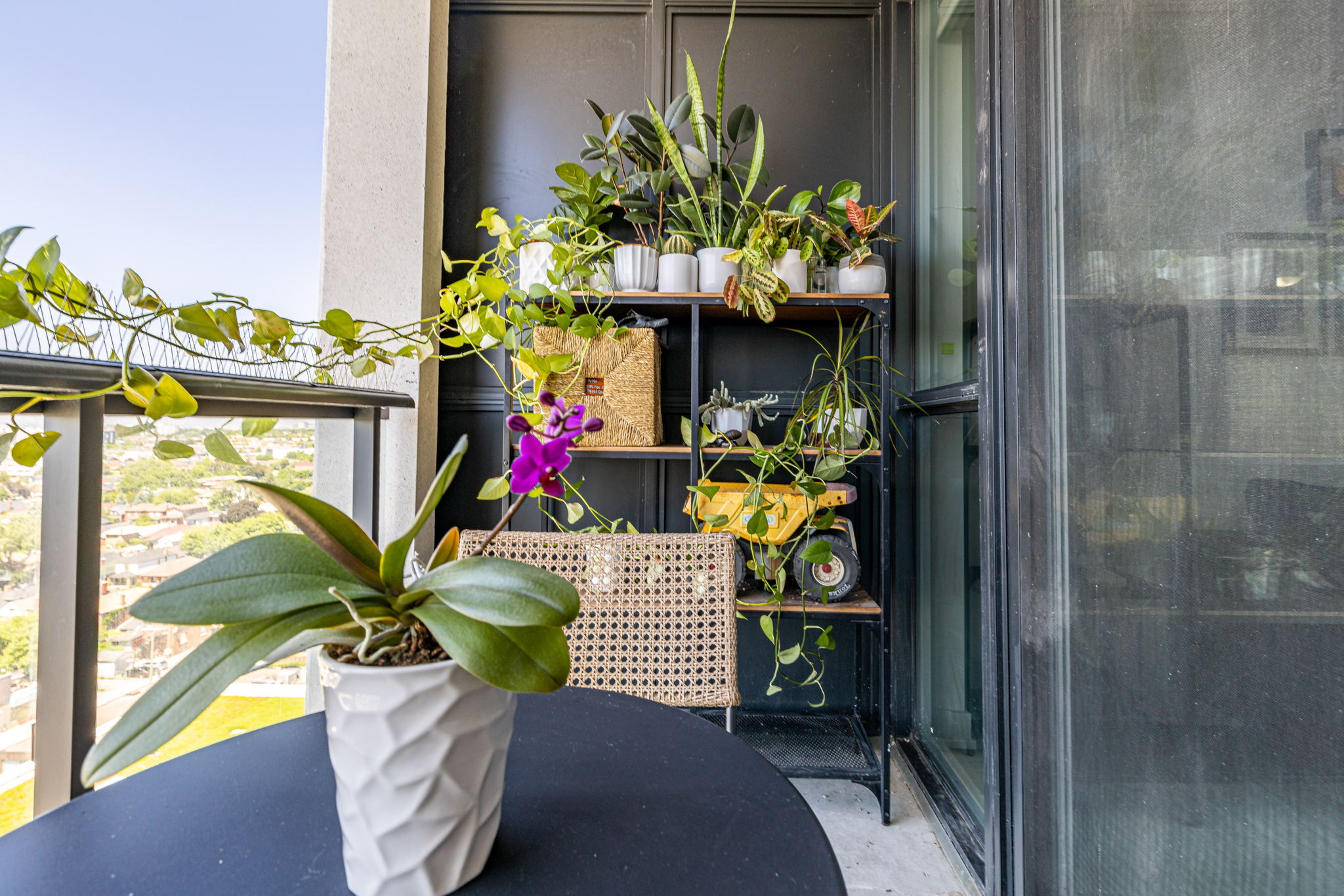 Toronto property showcase — delivered property photograph 29