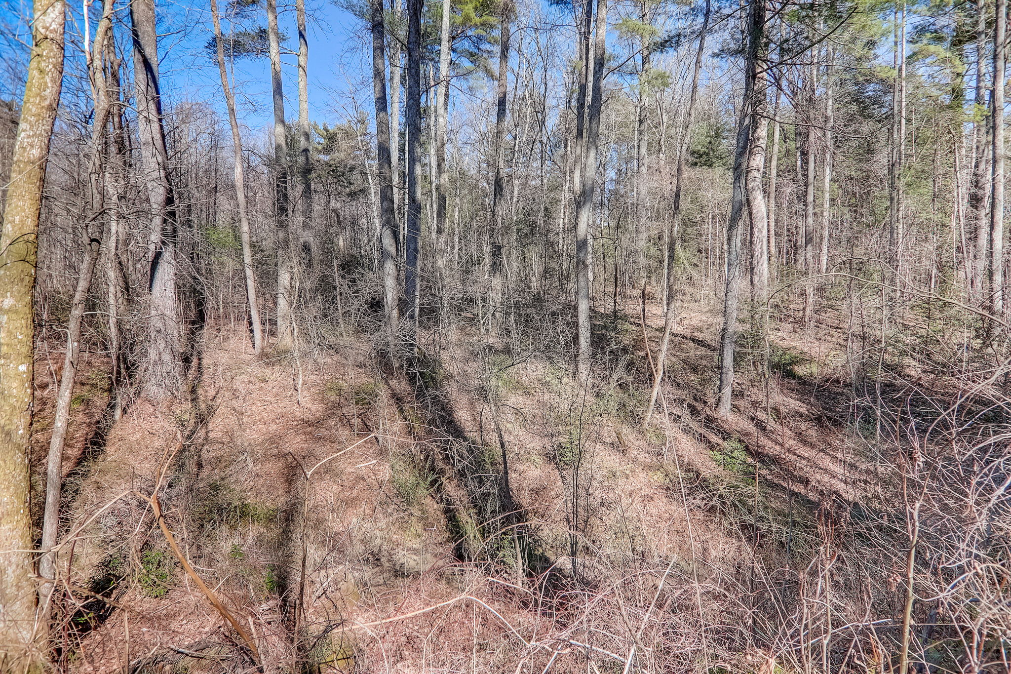  Howard Gap Loop Rd -055