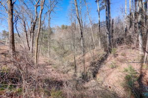  Howard Gap Loop Rd -056