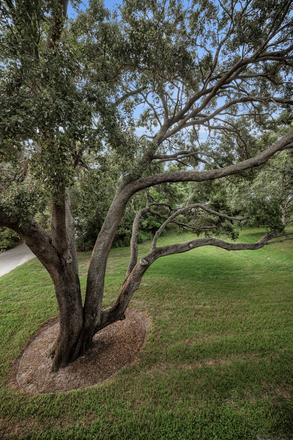 Upper Level Bedroom3c View