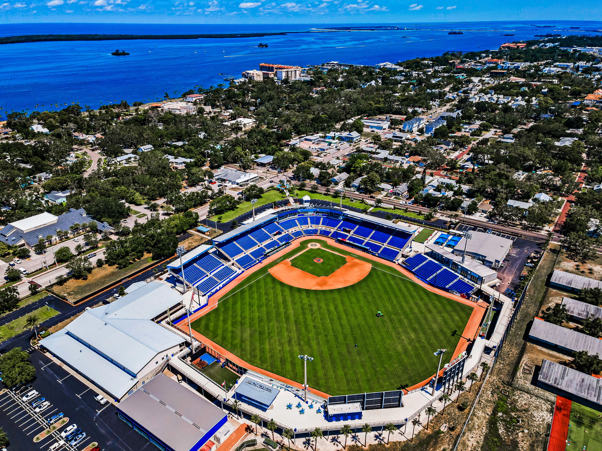 143-Minor League Baseball Team for Toronto Blue Jays