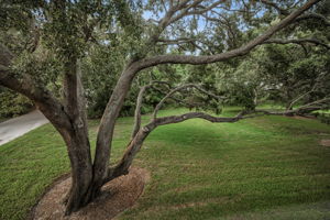 Upper Level Bedroom3b View