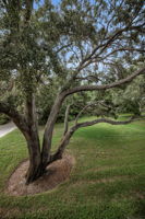 Upper Level Bedroom3c View