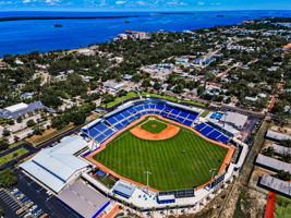 143-Minor League Baseball Team for Toronto Blue Jays