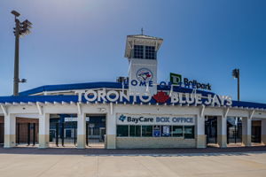 146-Minor League Baseball Team for Toronto Blue Jays