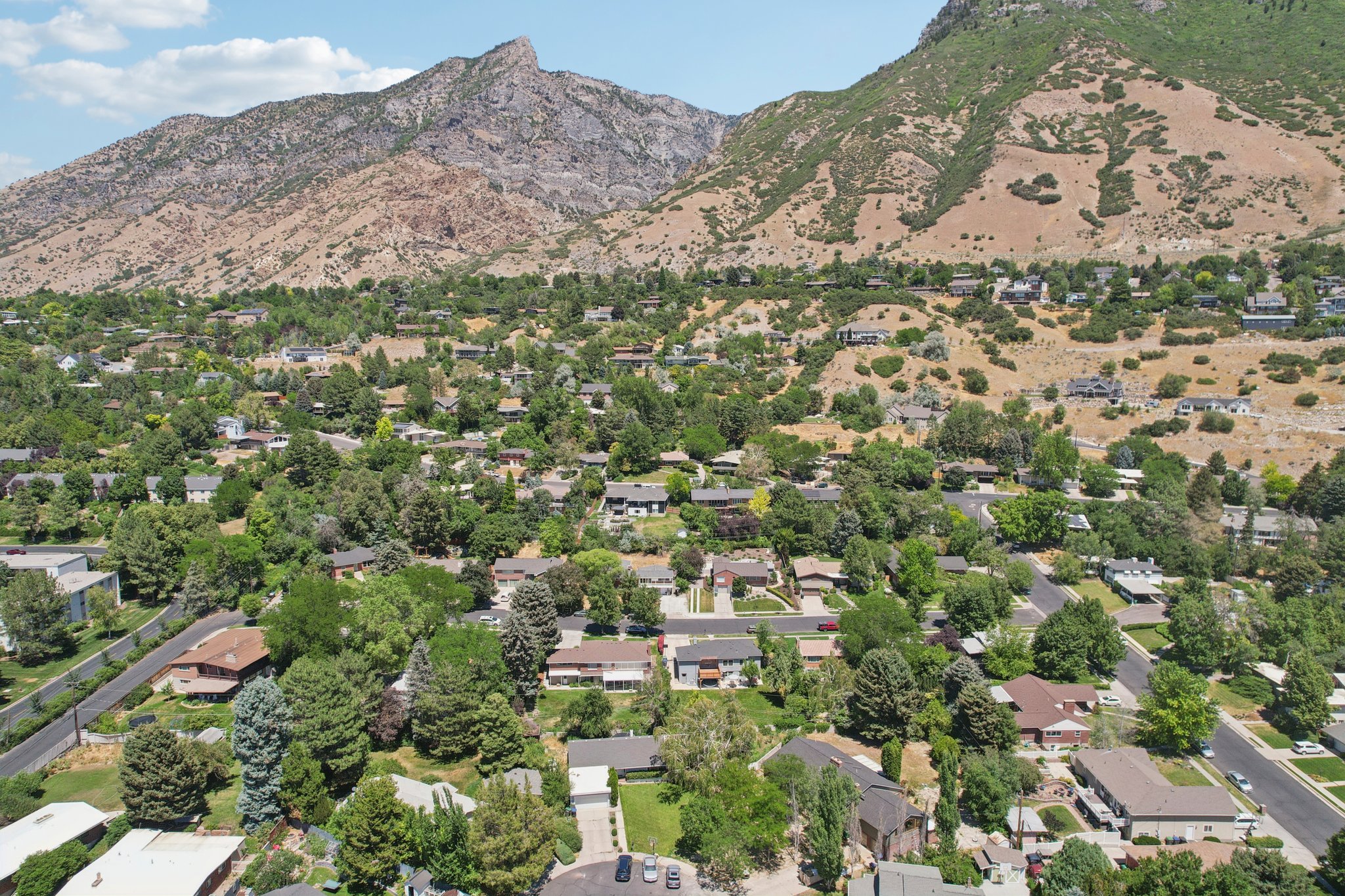 N Willow Ln-S0807-036.jpg