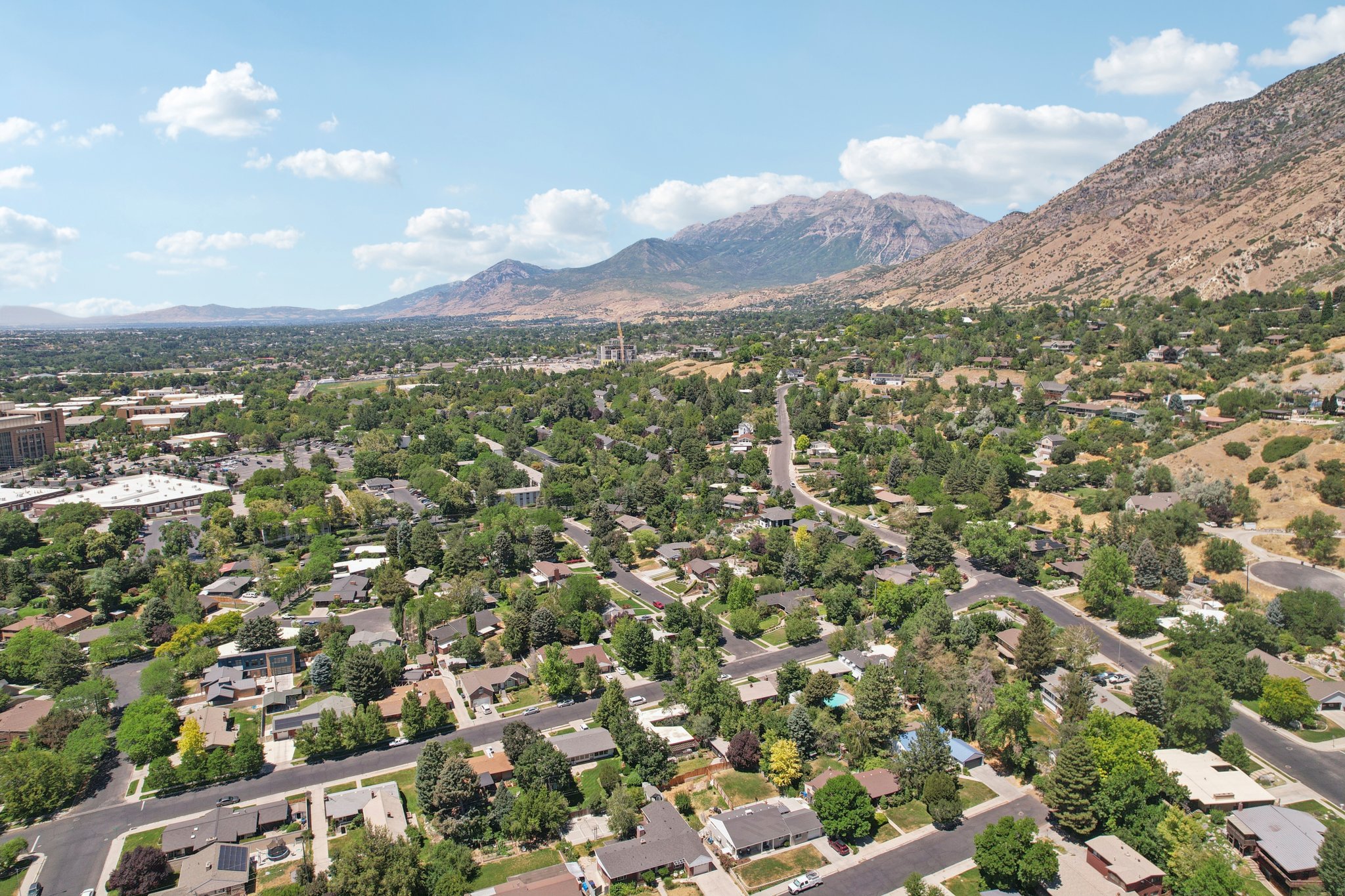 N Willow Ln-S0807-039.jpg