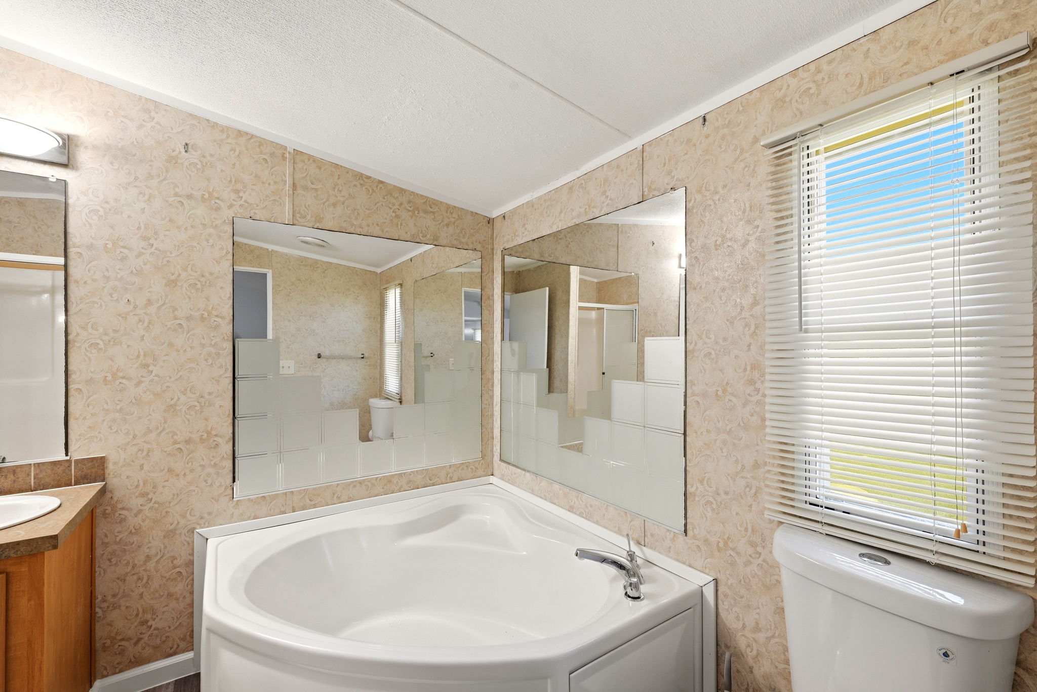 Master Bath Jacuzzi Tub