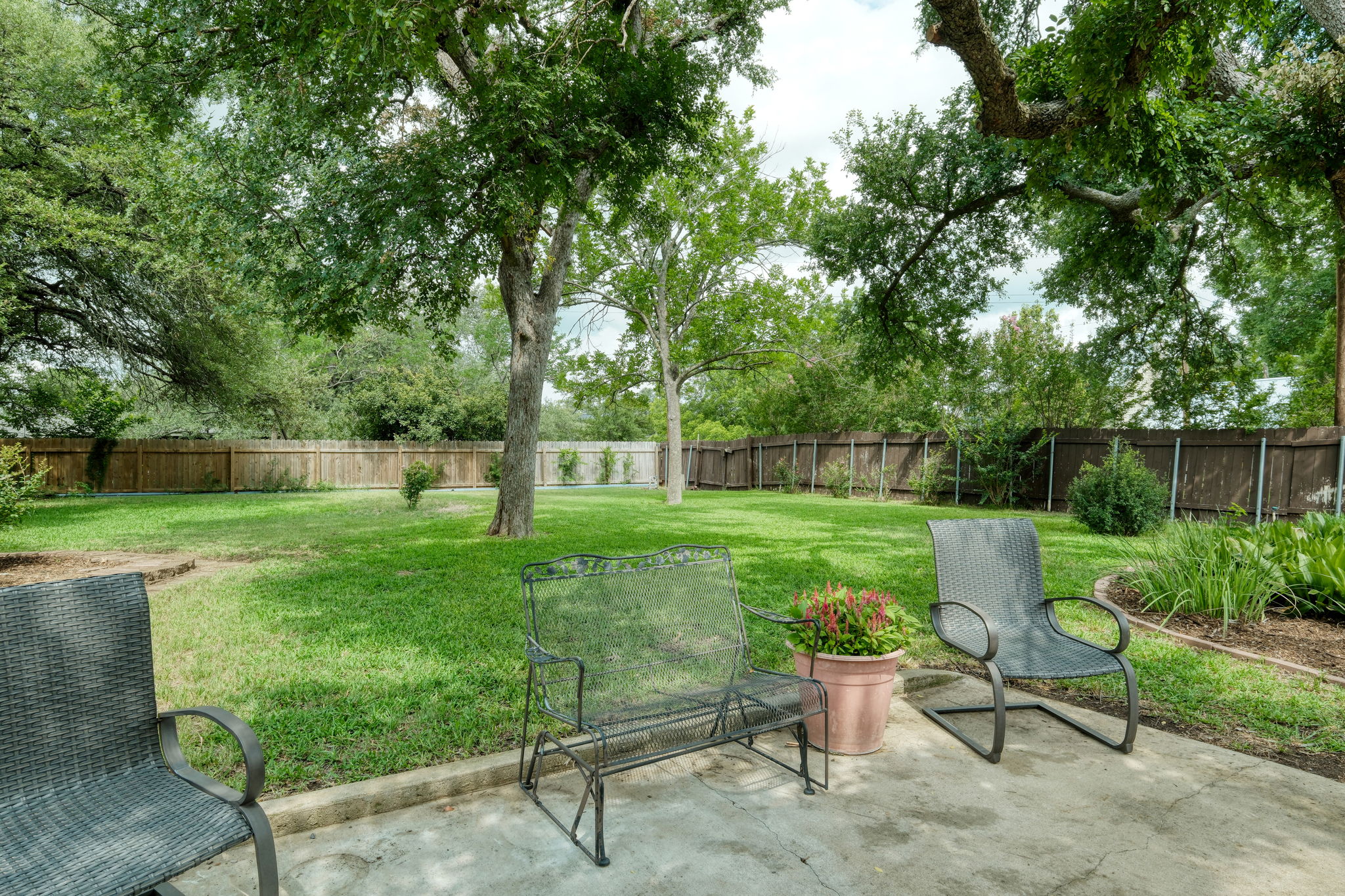 Back Yard