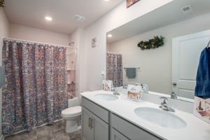  Photo 47
