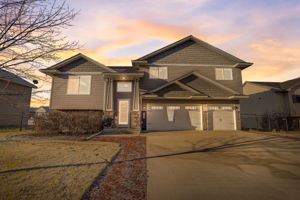 Pinecone Ln - VT-001