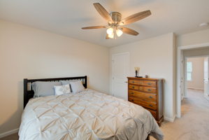 12 Bed B