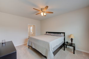 29 Bed C