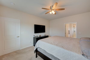 30 Bed C