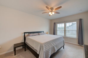 31 Bed C