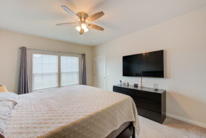 32 Bed C