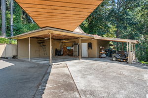  Photo 51