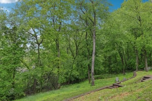 Green View Ct-1405-060.jpg