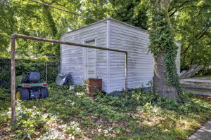  Photo 47